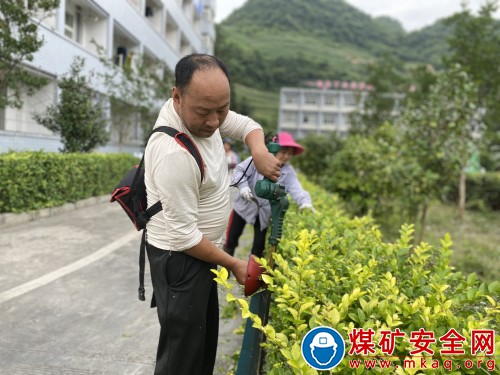 缔造绿色世界·蓄势花草雅韵